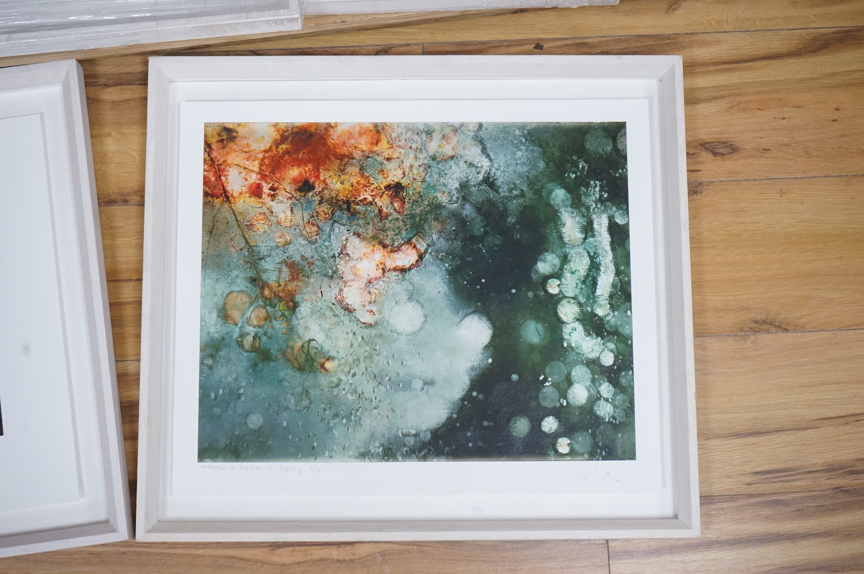 Valda Bailey (Contemporary), Abstract compositions to include ‘New Shoots’, ‘Through a Greenhouse Darkly’ and ‘A Strange Absence’, each signed in pencil, some limited edition, five photographic prints, largest 39 x 49cm